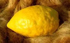 etrog