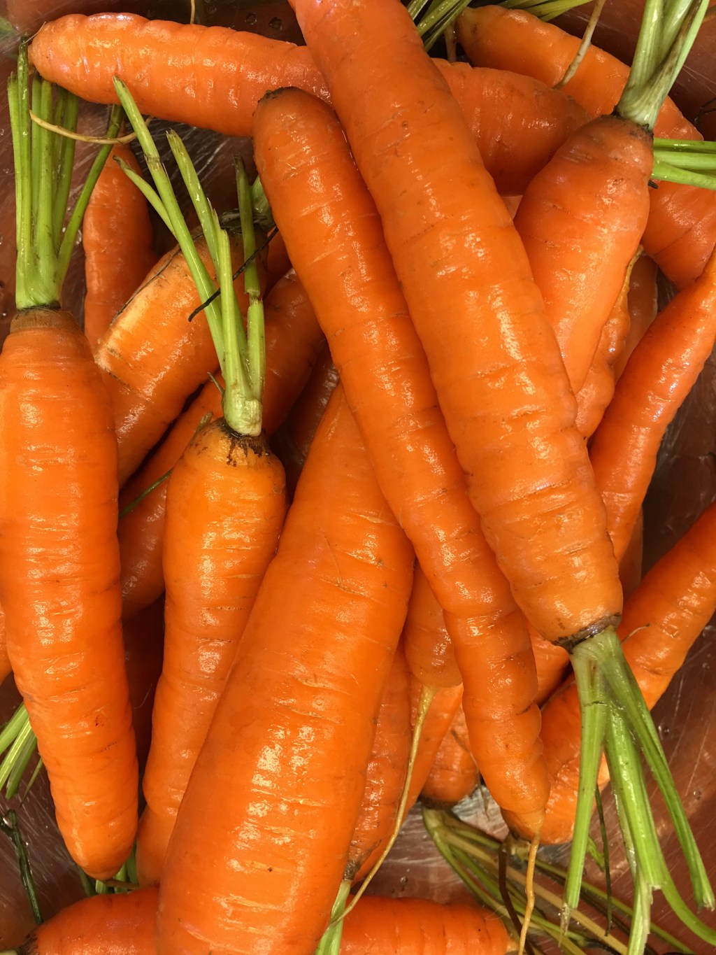 Have Courage (Kol Nidre&nbsp;5778)