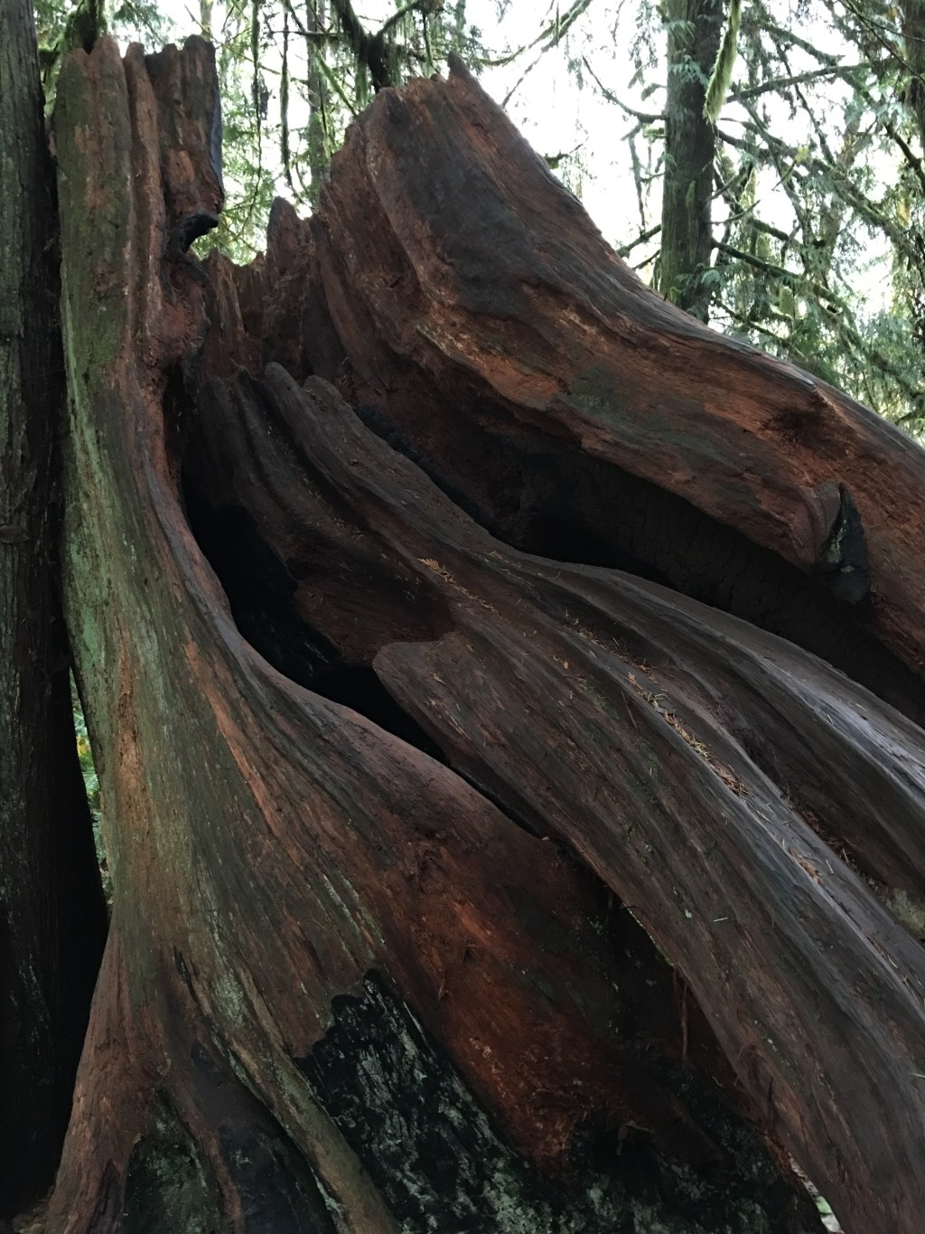 Gratitude on This&nbsp;Day