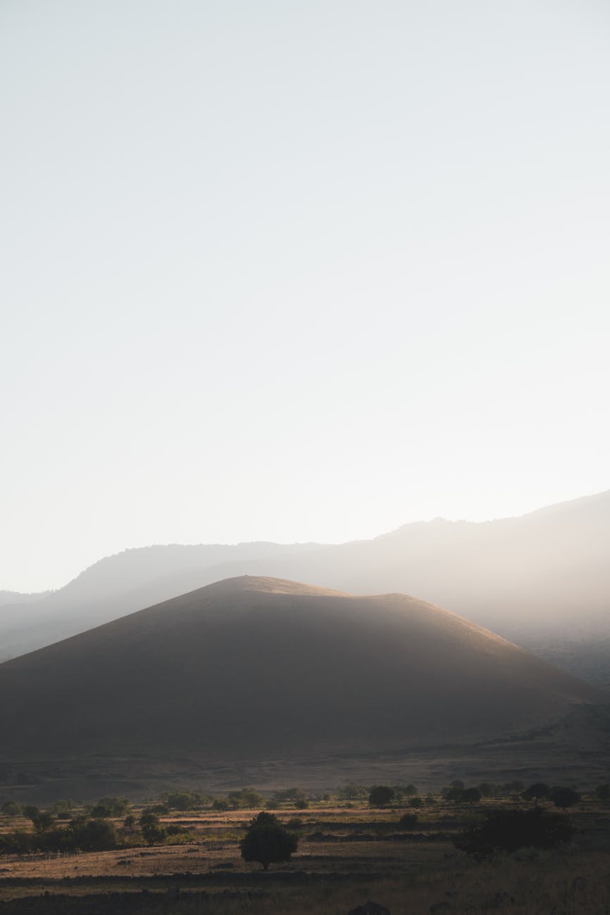 A Day of Love and&nbsp;Hope